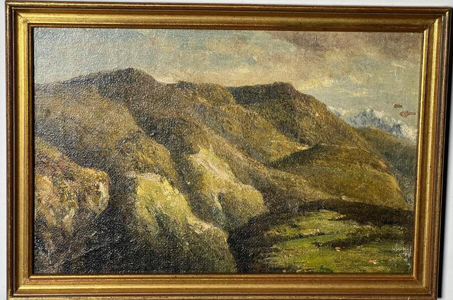 A pair of mountainviews ( oil on panel )