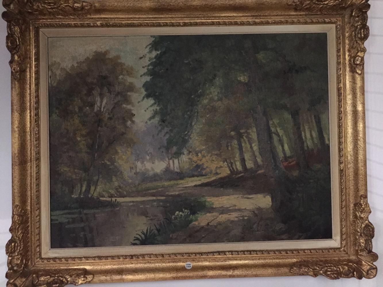 Forest in the summer