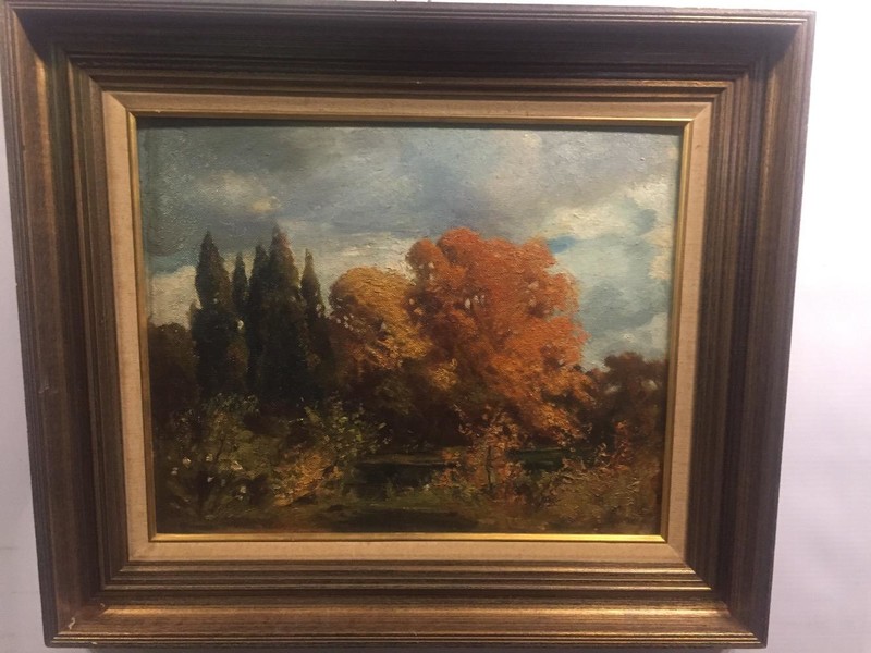 Forest in the summertime 