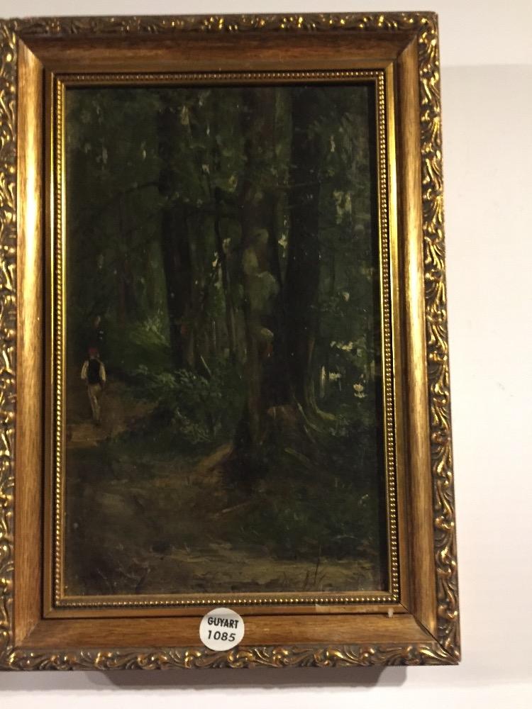 Man walking in the forest