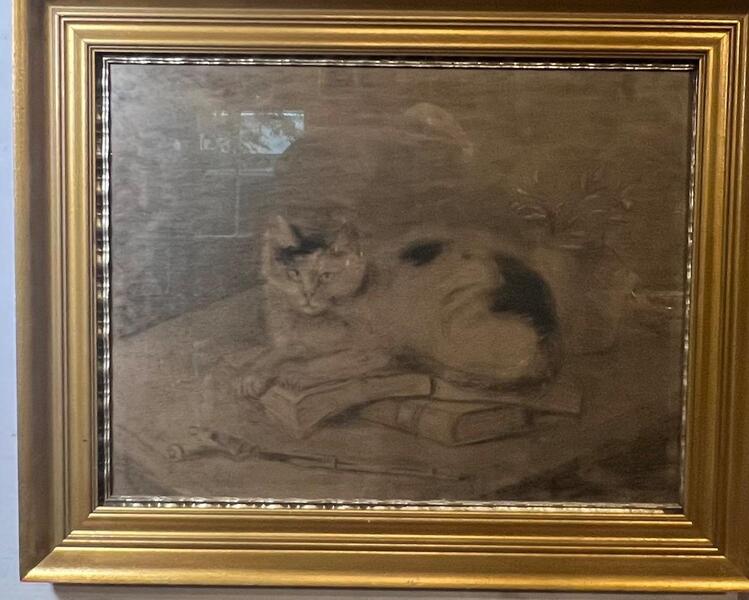 Cat with books ( charcoal on paper )