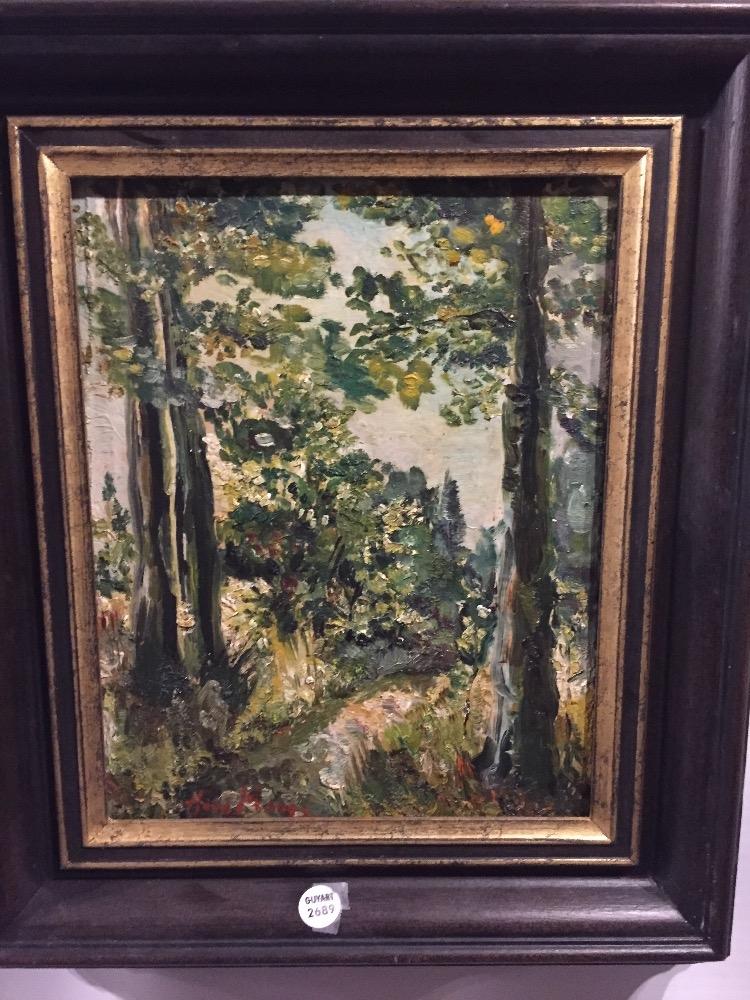 Forest in the Provence 