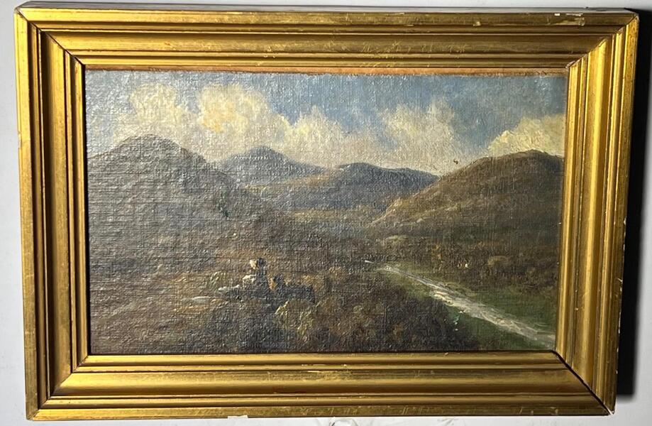 Mointainview ( oil on canvas on panel )